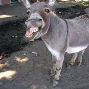 Meet your Posher, Rick